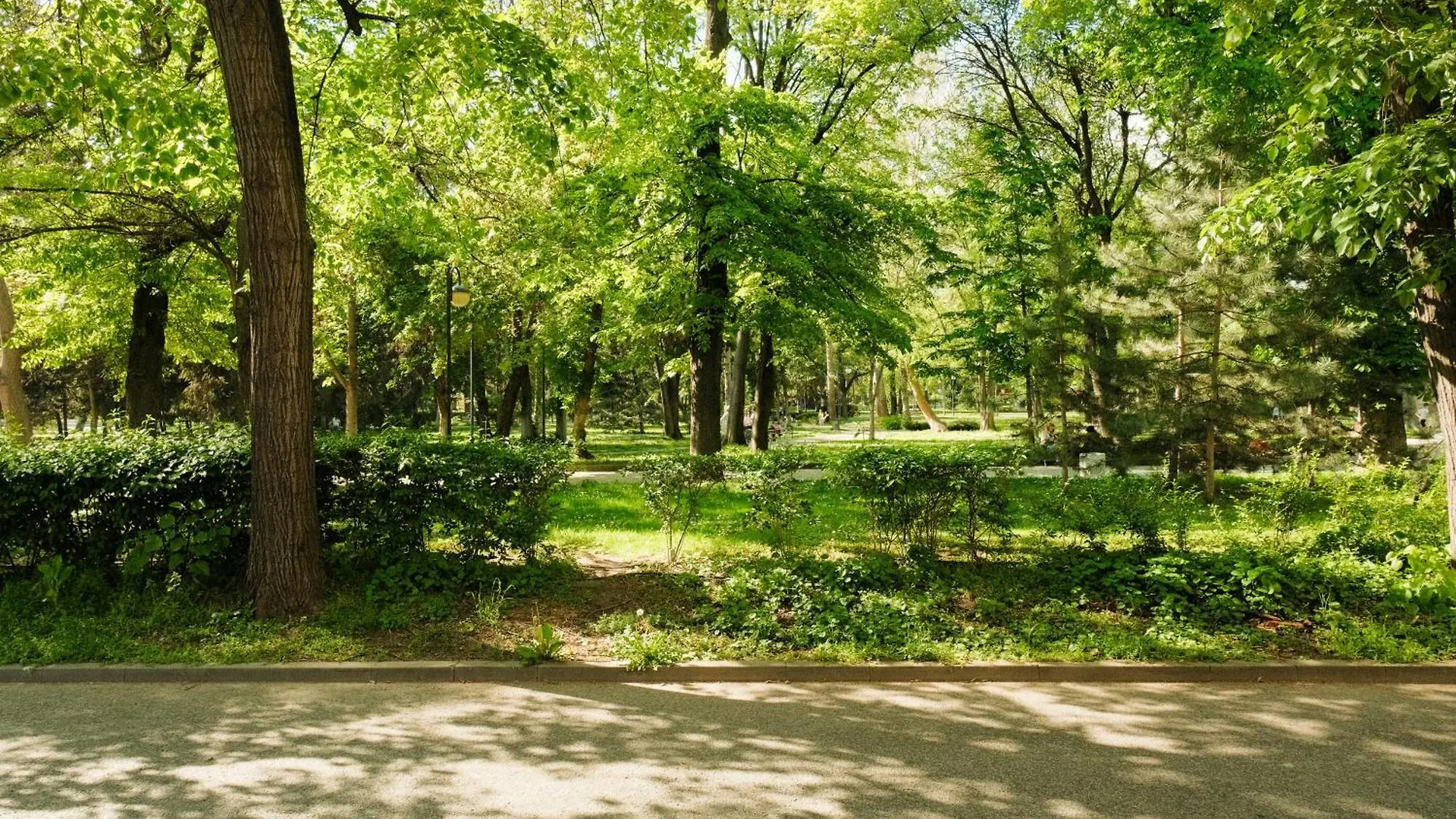 Tatyana City Garden Plovdiv 0*,