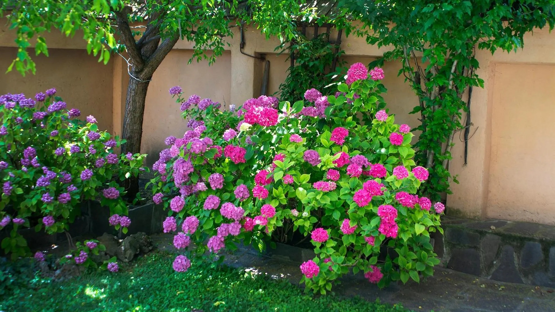 Tatyana City Garden Plovdiv Bulgarie