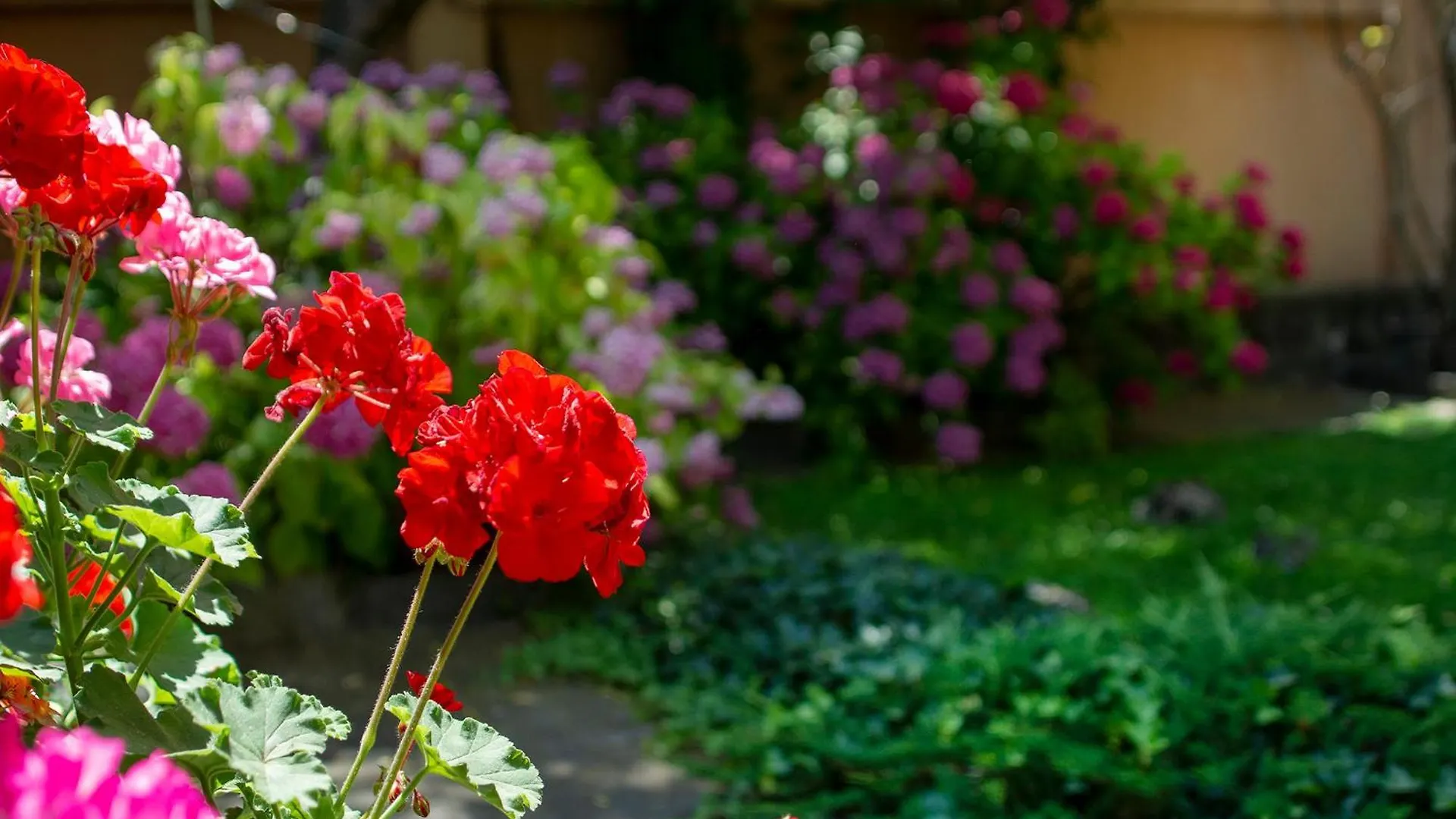 Tatyana City Garden Plovdiv 0*,  Bulgarie